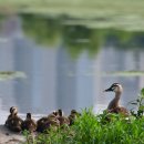 타슈 관제센터 이미지