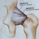 오십견& 무혈성괴사 &충돌중후군 원인및증상 그리고 치료방법 이미지