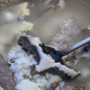 수하동 롯데월드몰 이미지