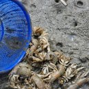 냉천어촌체험마을 체험장 네이버블로그