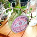 쓰리스타 이미지