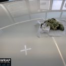 와이카스킨