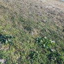 낙동강변12 이미지