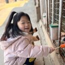 채원목장 이미지