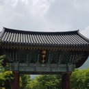 불갑사 산림박물관 이미지