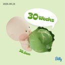 한미T빌딩(한미빌딩) | 30W) 임신 30주차 임신후기 정밀초음파 찐막 만삭촬영 출산휴가 신청