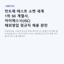 에스케이씨엔펄스(주) | 반도체 테스트 소켓 세계 1위 SK 계열사, 아이에스시(ISC) 해외영업 정규직 채용 완전 분석