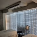 (주)트리츠 | 아펠가모 제휴 혜택 트리츠스파 웨딩북 예약없이 신부관리 받은 후기