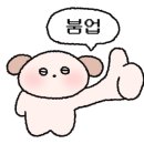 흑풍시스템 이미지
