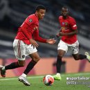 그린우드 이미지