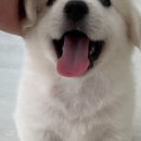 일리투어 네이버블로그