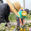 풀빛향기송정마을 이미지