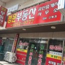 맹호태권도장