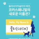 올리비아하슬러 이미지