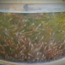 아름수산 이미지