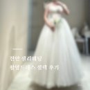 천안농업협동조합 | 천안 샐리웨딩 촬영드레스 셀렉 후기 (feat. 뚱신ㅋㅋ)