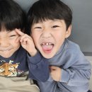 늘품태권도 이미지