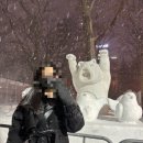 주식회사 보정팜 | &lt;홋카이도①_北海道❄️&gt; / 삿포로&amp;오타루 / 비에이 투어 후기☃️