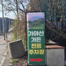 느릅나무가든 | 가야산맛집 가야산가든 능이백숙 후기 ｜성주식당 성주군맛집 대구근교백숙