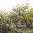 천서리마을막국수 이미지