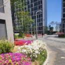 청학공업고등학교 내 | 08_240427 : 2024 정기기사 1차 실기시험 후기(feat.직업상담사 2급)