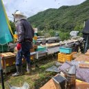 응애농원 이미지