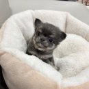 서원동-26 이미지