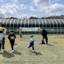 국가대표 기백 태권도 이미지