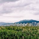 낙동강변2 이미지