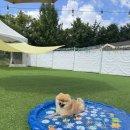 하트만동물병원 이미지