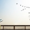 스타타워부동산공인중개사사무소 이미지