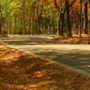 오페라와 뮤지컬의 만남 뮤페라 이미지