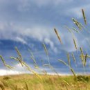 자연.이미지 이미지