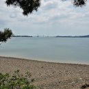 안산1길 이미지