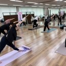 요가교실 이미지