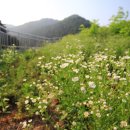 왕암원앙공원 네이버블로그