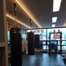 링맨복싱 이미지