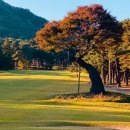 현충원로(유성-18) 이미지