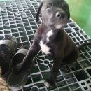 성골 농원 이미지