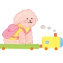 망고펫살롱 이미지