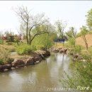 순천만국가정원 이미지