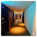 솔라리아 니시테츠 호텔 서울 명동 | 명동호텔 솔라리아니시테츠서울 조식 시간 전메뉴