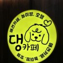 댕카페 | 댕카페 방문후기❤️