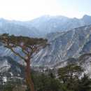 원경불교사 - 부천시 오정구 까치로 102 | 4월에 꼭 가야 할 영취산, 진달래 군락과 전통 사찰이 기다리는 곳