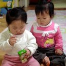 감천파랑새어린이집 이미지