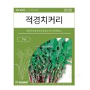 씨앗