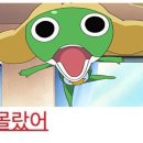 (주)상상플래닛 | 2026 사회적가치형 청년 일경험 지원후기, 정보, 기업 고르는 법
