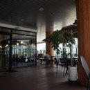 아다모coffee