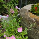 용두산장 이미지