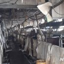 김진호농장 이미지